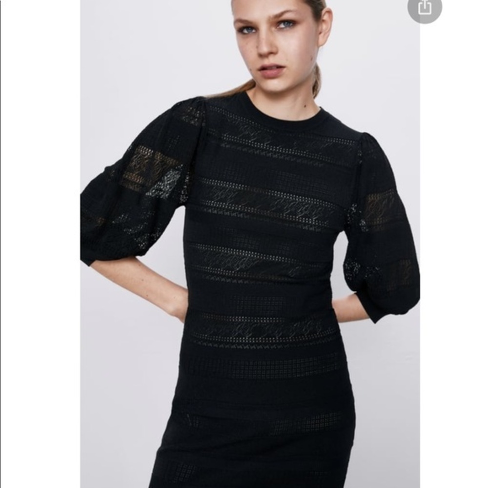Zara NWT pointelle dress with balloon sleeves